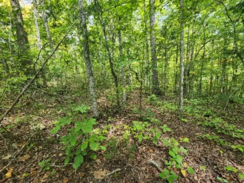 16.22AC Glenobey Road Jamestown TN 38556
