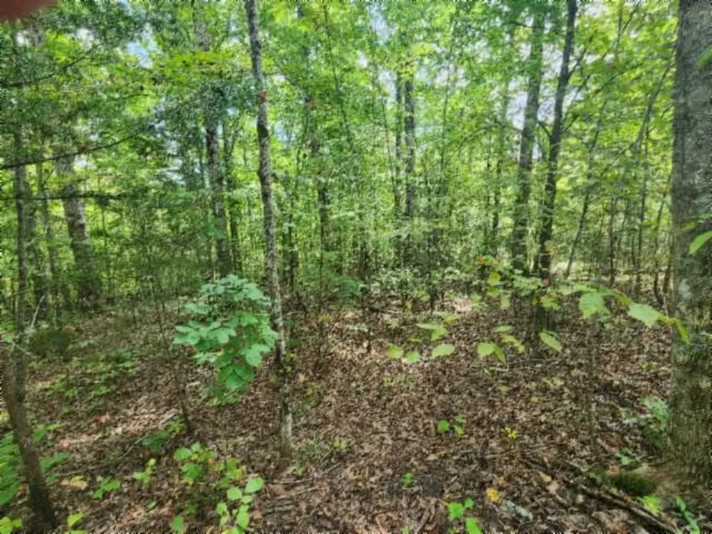 16.22AC Glenobey Road Jamestown TN 38556