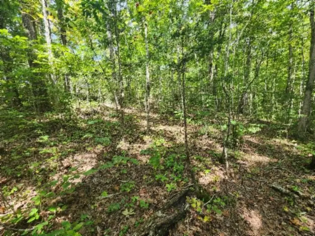 16.22AC Glenobey Road Jamestown TN 38556