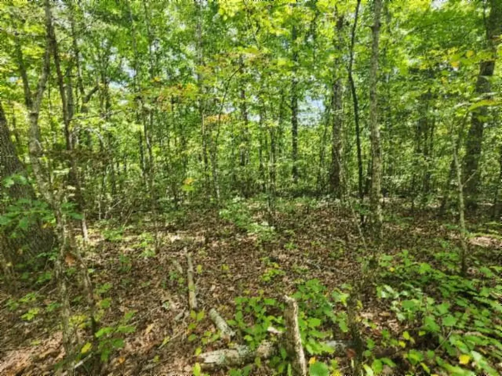 16.22AC Glenobey Road Jamestown TN 38556