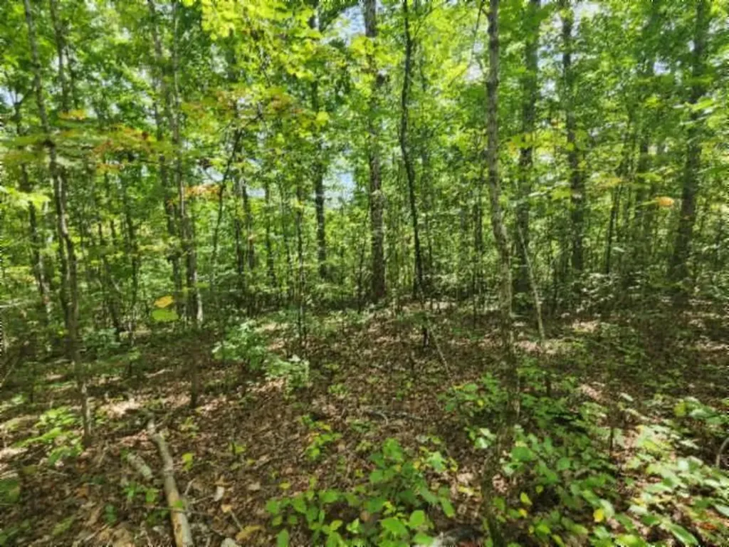 16.22AC Glenobey Road Jamestown TN 38556