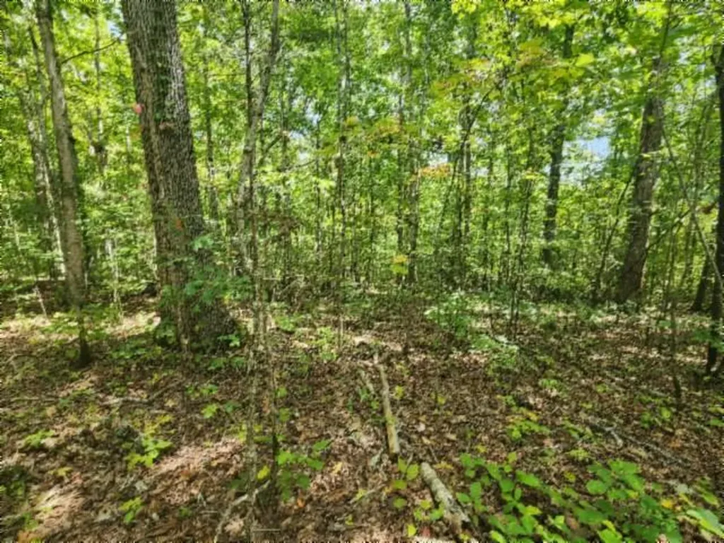 16.22AC Glenobey Road Jamestown TN 38556