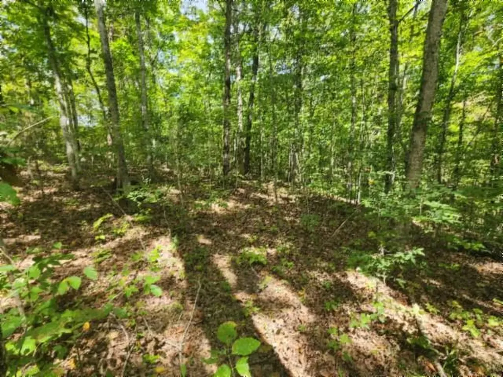 16.22AC Glenobey Road Jamestown TN 38556