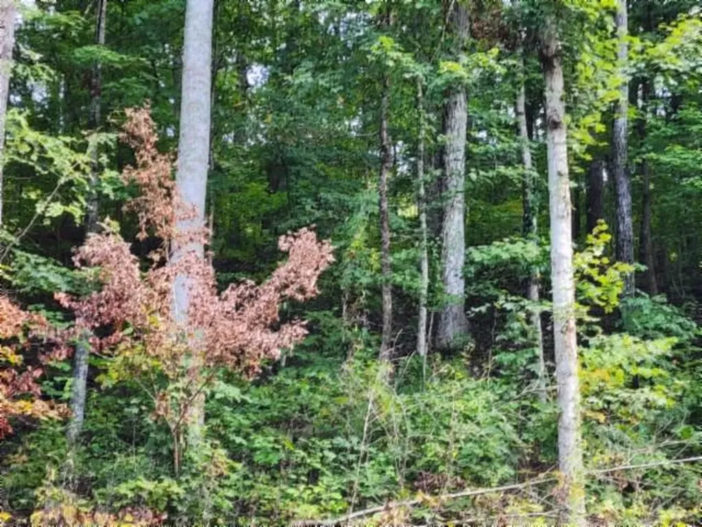 16.22AC Glenobey Road Jamestown TN 38556