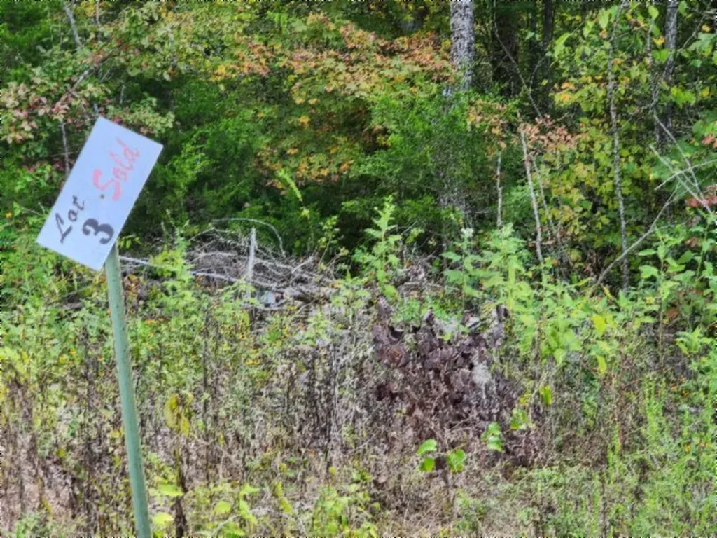 16.22AC Glenobey Road Jamestown TN 38556
