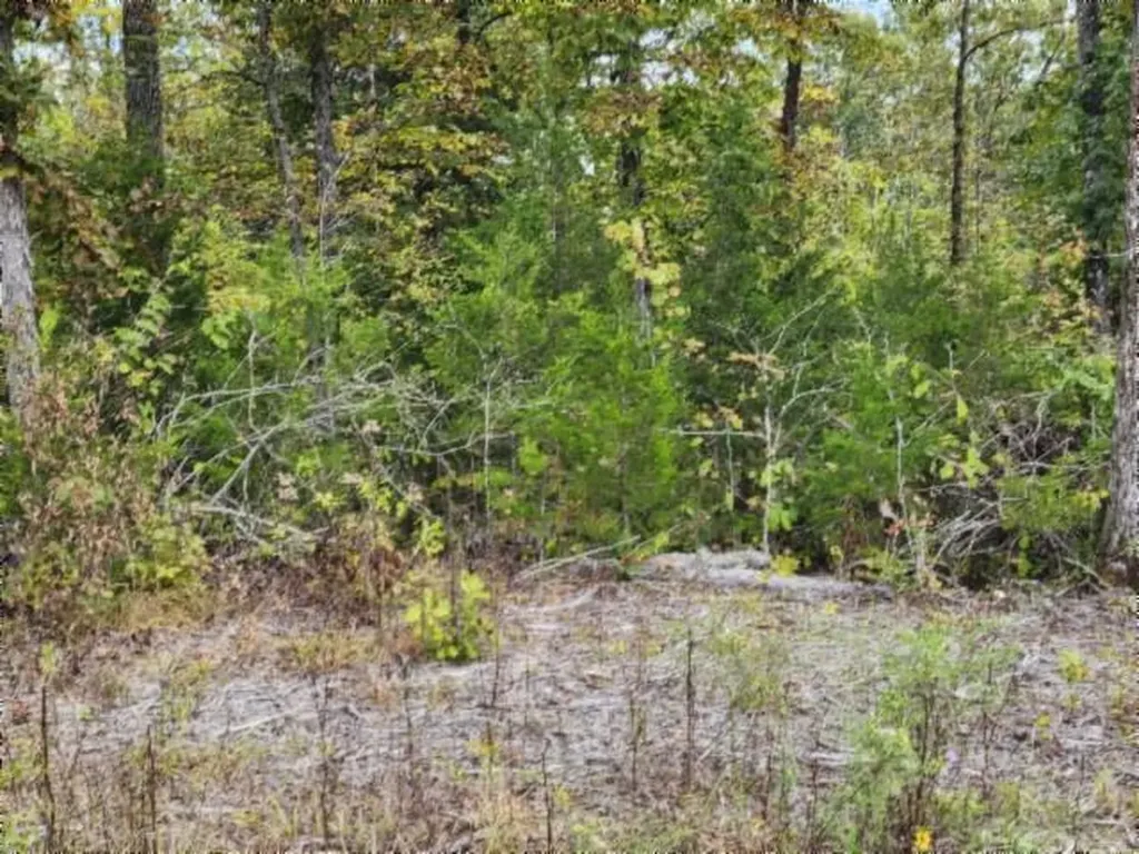 16.22AC Glenobey Road Jamestown TN 38556