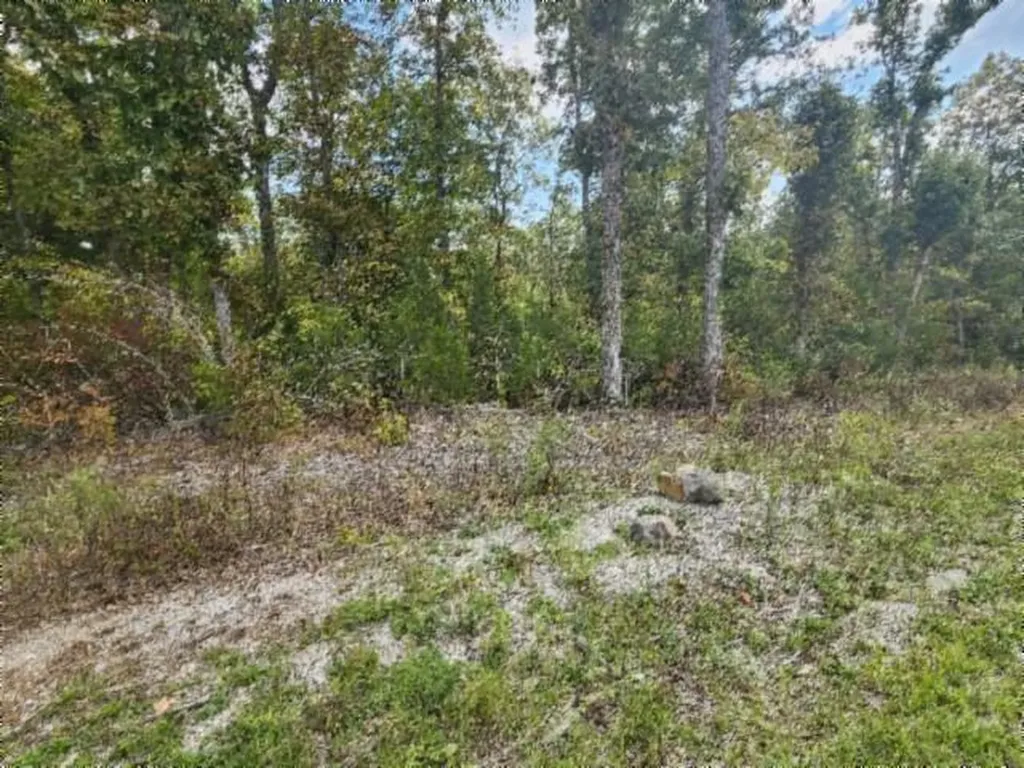 16.22AC Glenobey Road Jamestown TN 38556