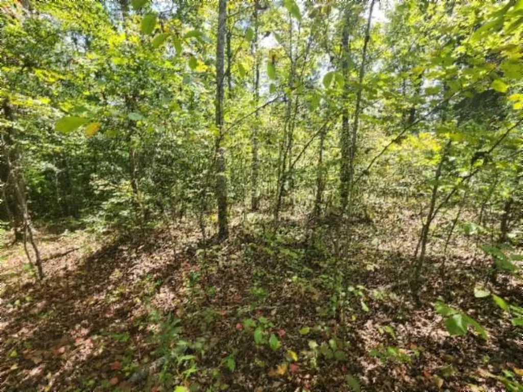 16.22AC Glenobey Road Jamestown TN 38556