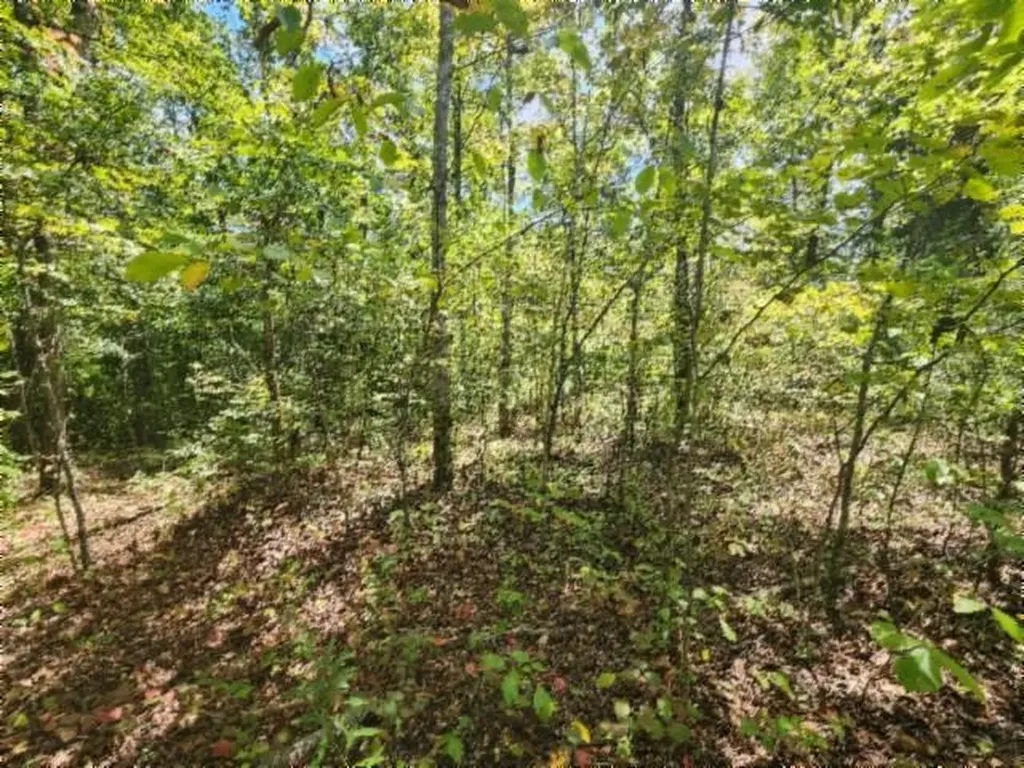 16.22AC Glenobey Road Jamestown TN 38556
