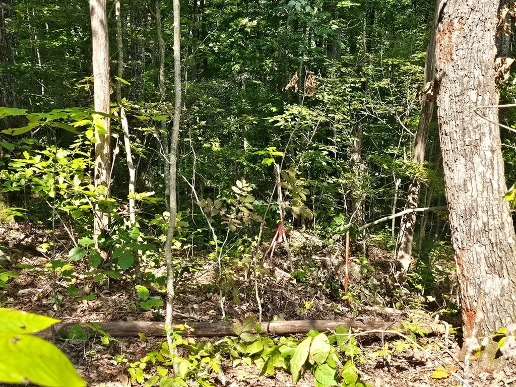 13850 Lantana Road Crossville TN 38572