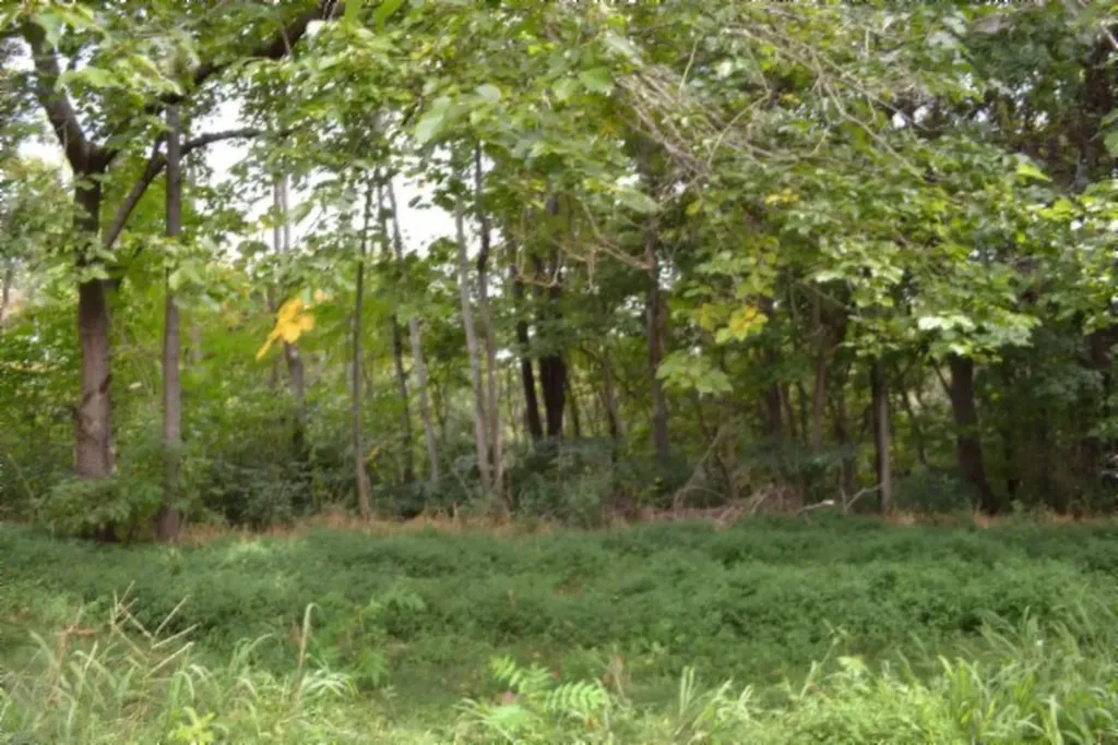 1046 Livingston Highway Byrdstown TN 38549