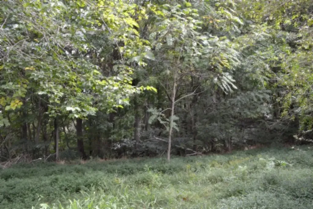 1046 Livingston Highway Byrdstown TN 38549