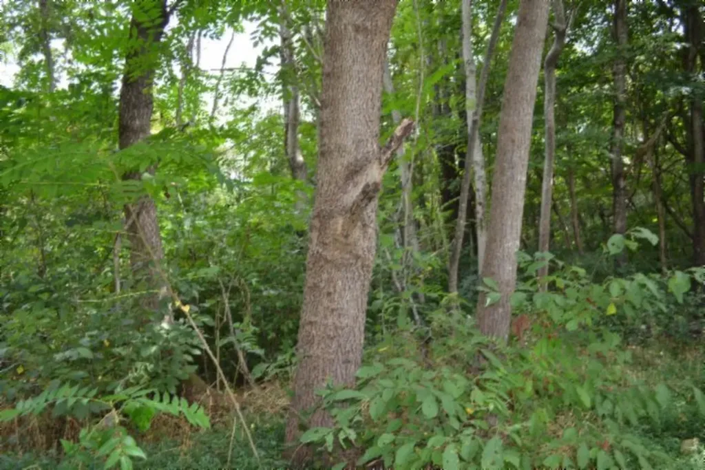 1046 Livingston Highway Byrdstown TN 38549