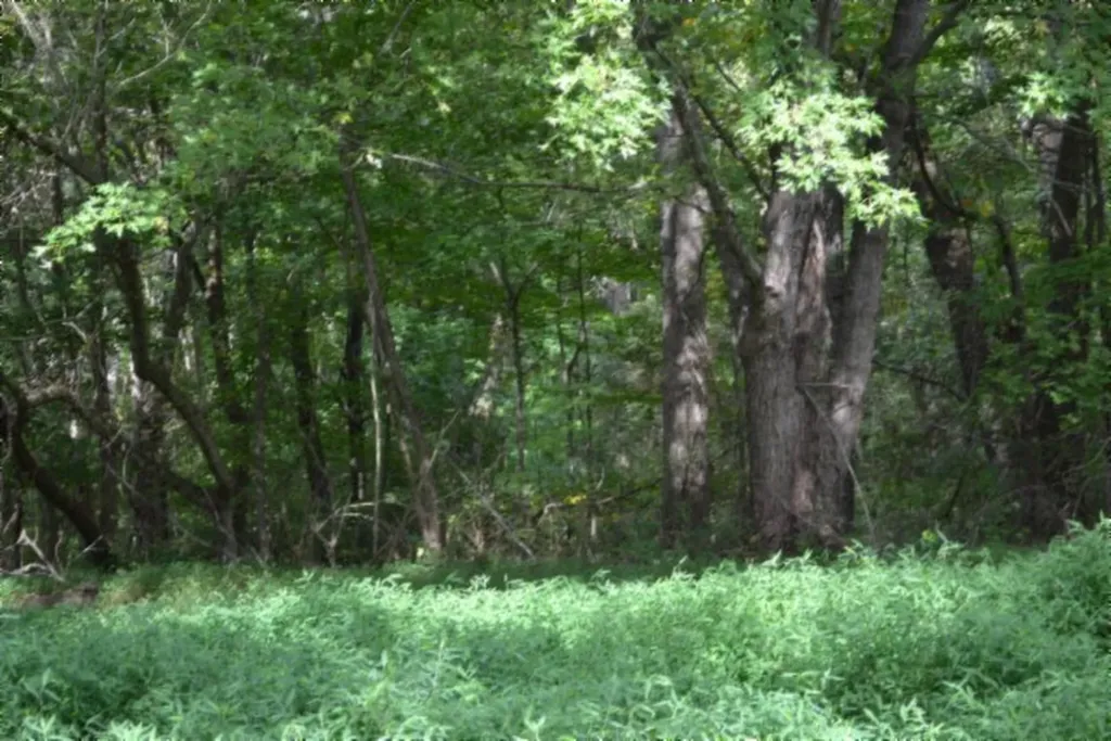 1046 Livingston Highway Byrdstown TN 38549