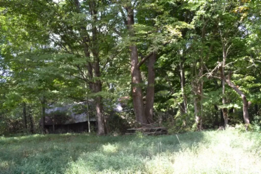 1046 Livingston Highway Byrdstown TN 38549