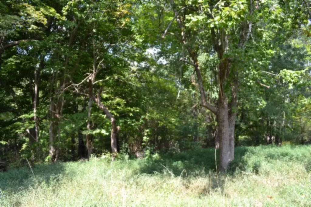 1046 Livingston Highway Byrdstown TN 38549