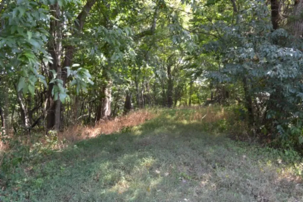 1046 Livingston Highway Byrdstown TN 38549