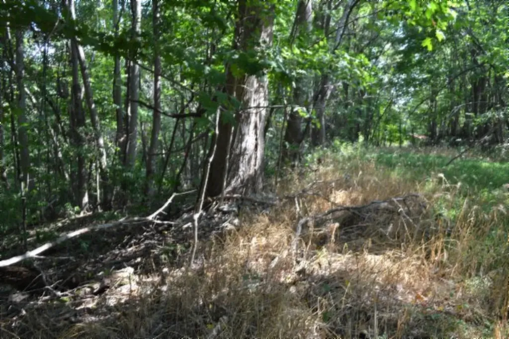 1046 Livingston Highway Byrdstown TN 38549