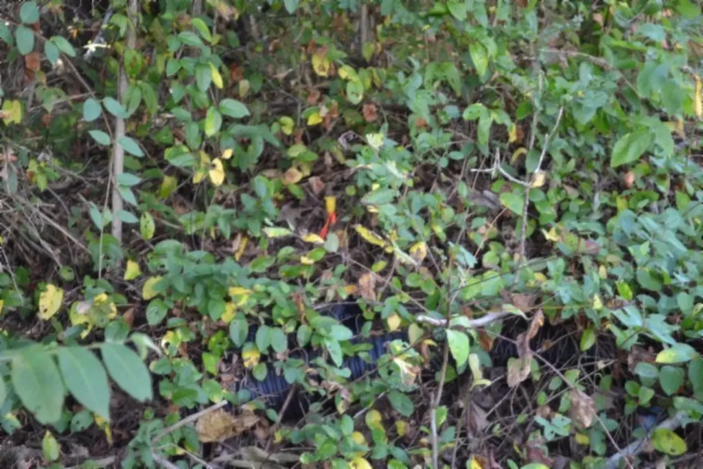 1046 Livingston Highway Byrdstown TN 38549