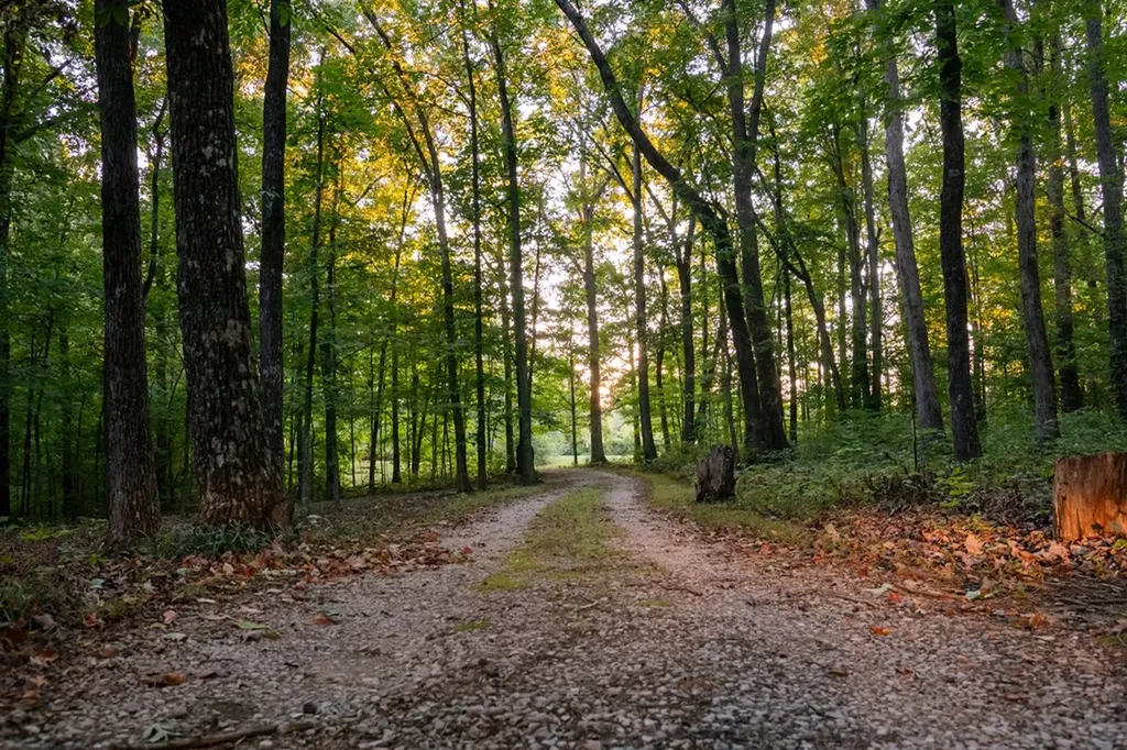 693 Tower Hill Road Livingston TN 38570-2170