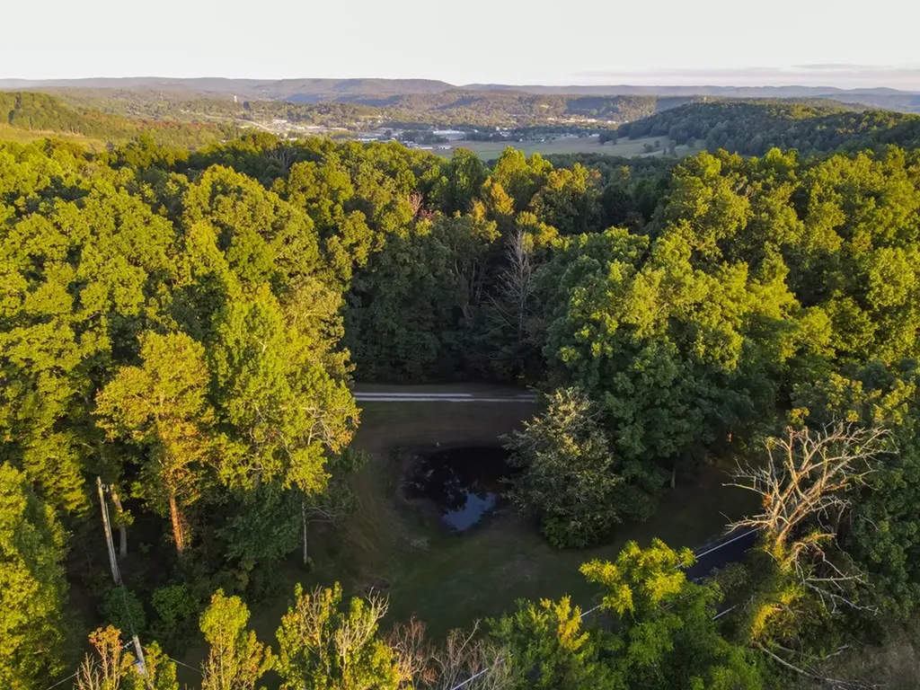 693 Tower Hill Road Livingston TN 38570-2170