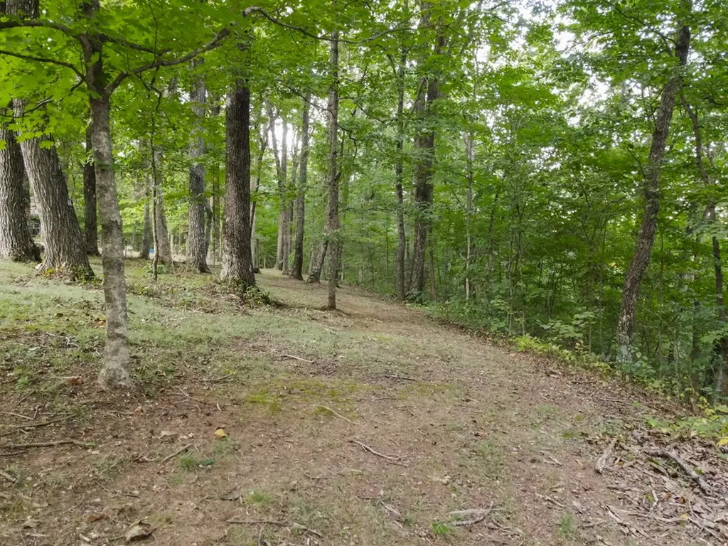 693 Tower Hill Road Livingston TN 38570-2170