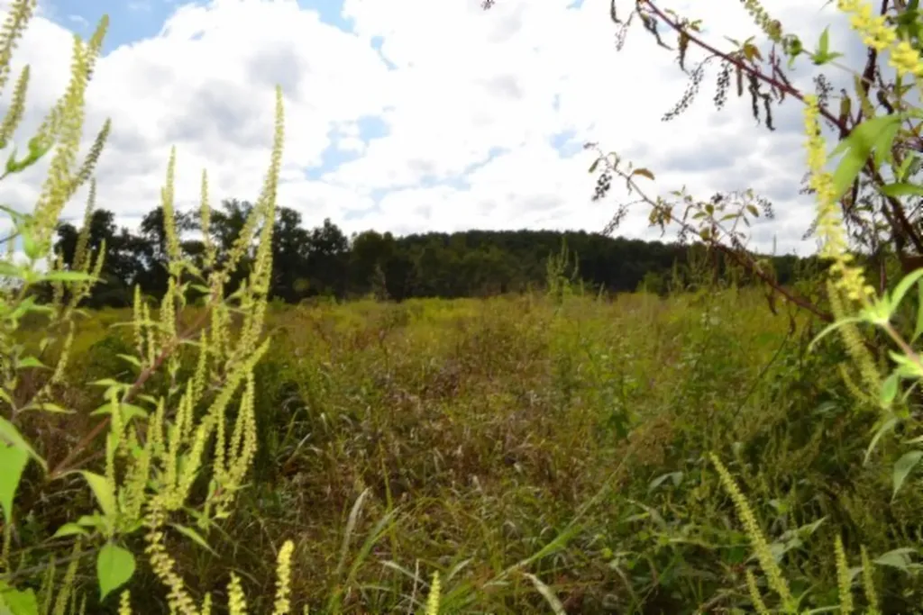 3.94ac Anderson Road Byrdstown TN 38549