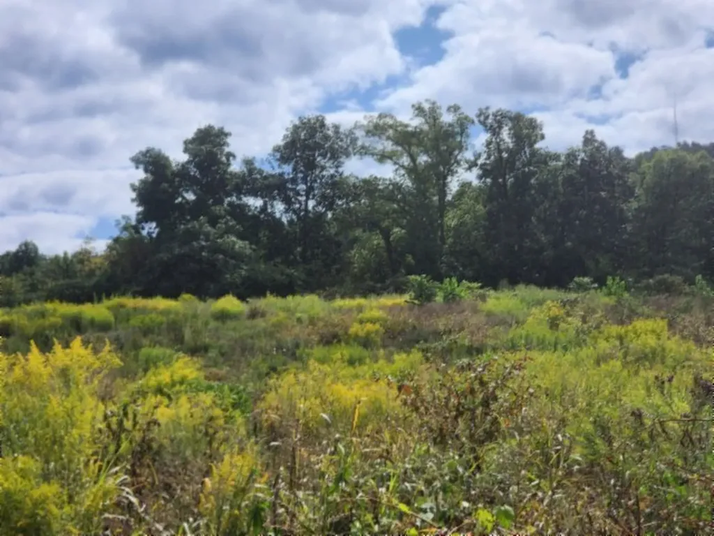 3.94ac Anderson Road Byrdstown TN 38549