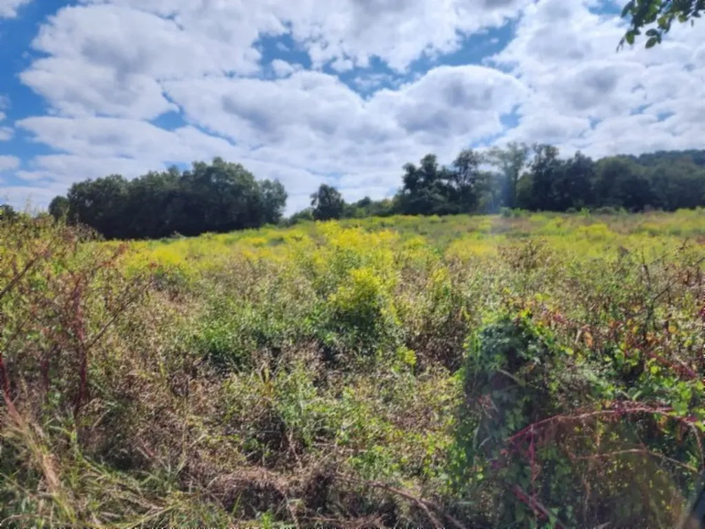 3.94ac Anderson Road Byrdstown TN 38549