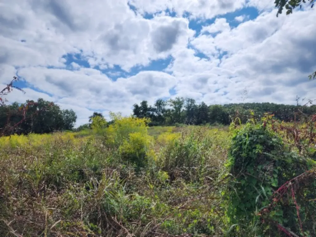 3.94ac Anderson Road Byrdstown TN 38549