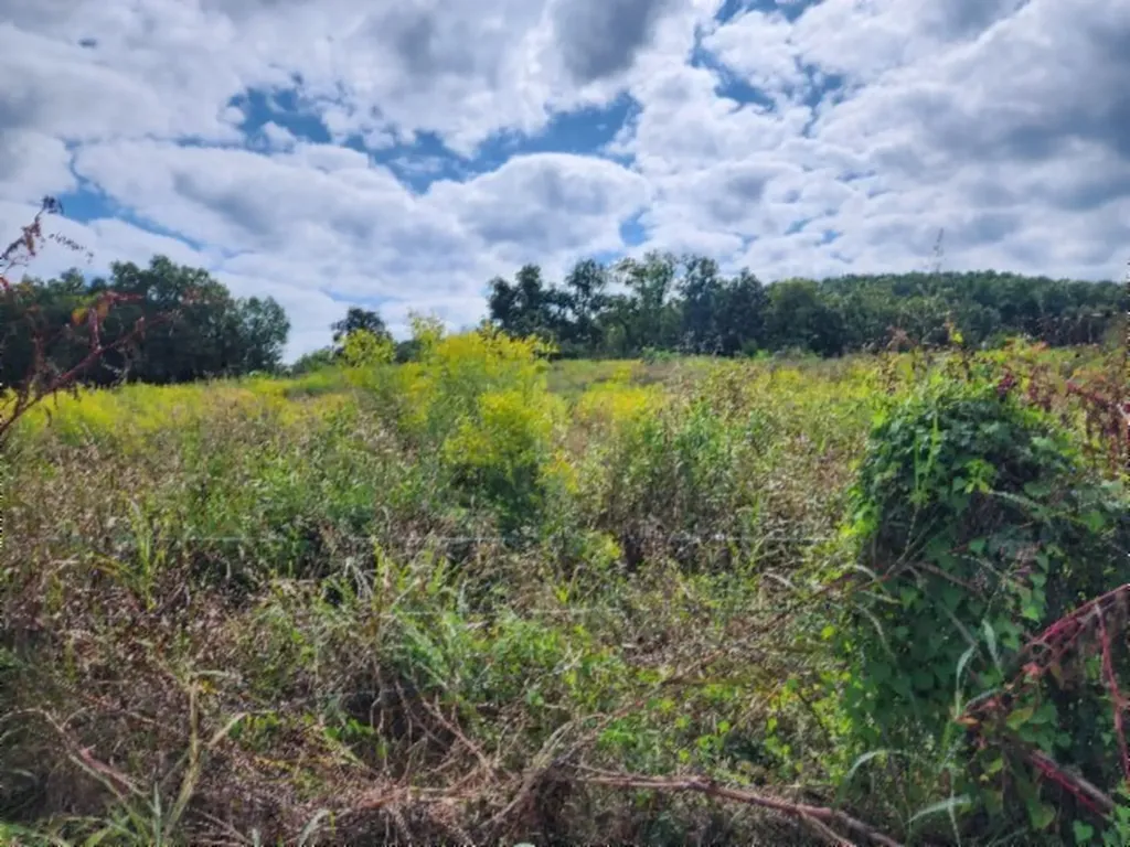 3.94ac Anderson Road Byrdstown TN 38549