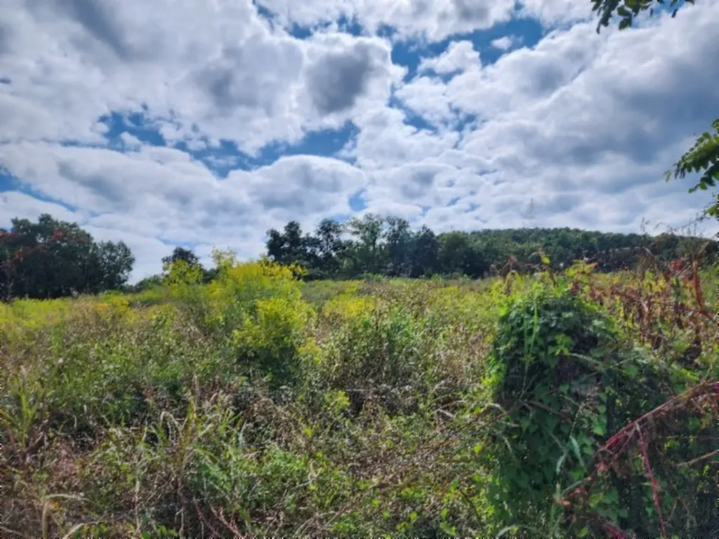 3.94ac Anderson Road Byrdstown TN 38549