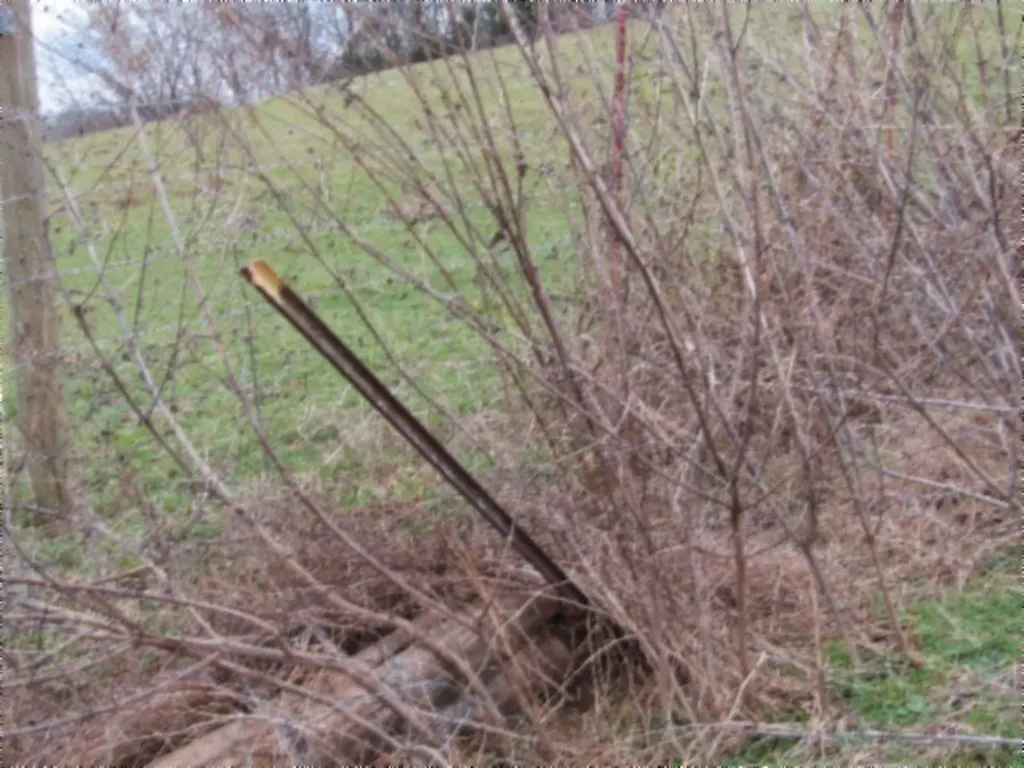 3.94ac Anderson Road Byrdstown TN 38549