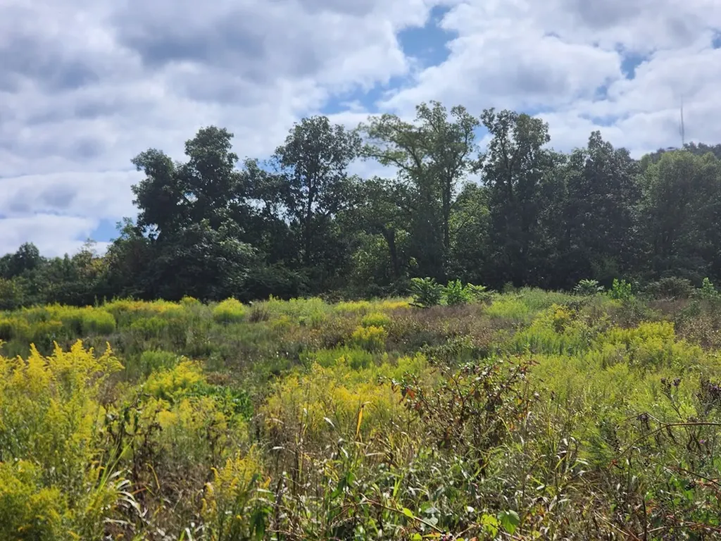 3.94ac Anderson Road Byrdstown TN 38549