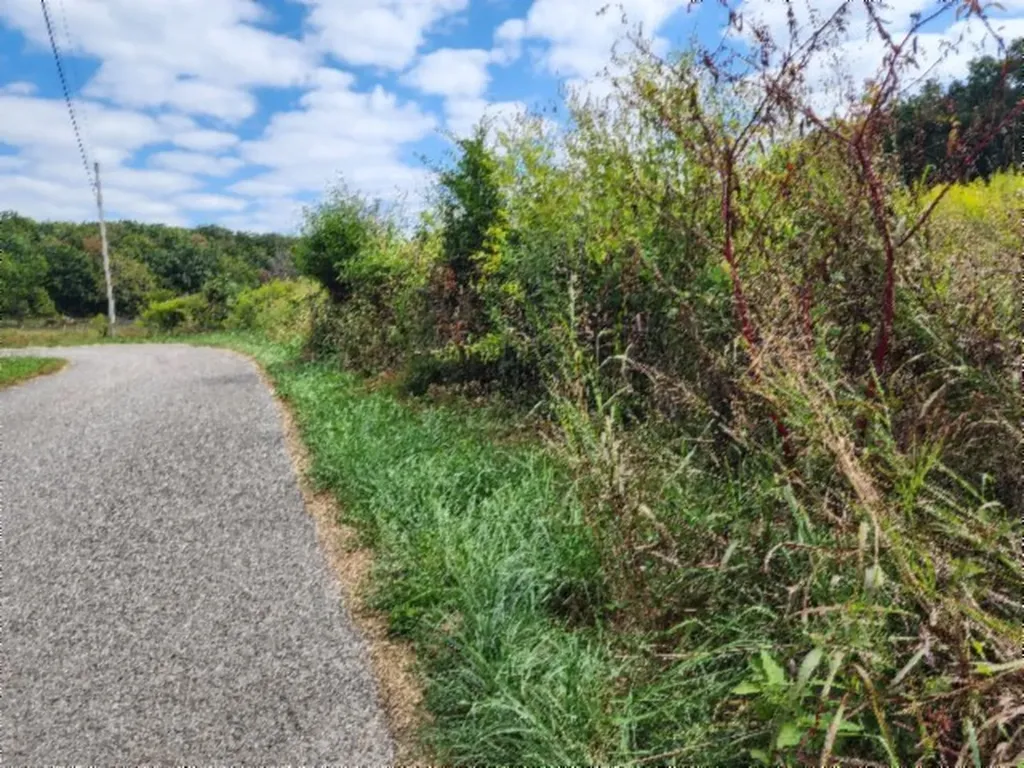 3.94ac Anderson Road Byrdstown TN 38549