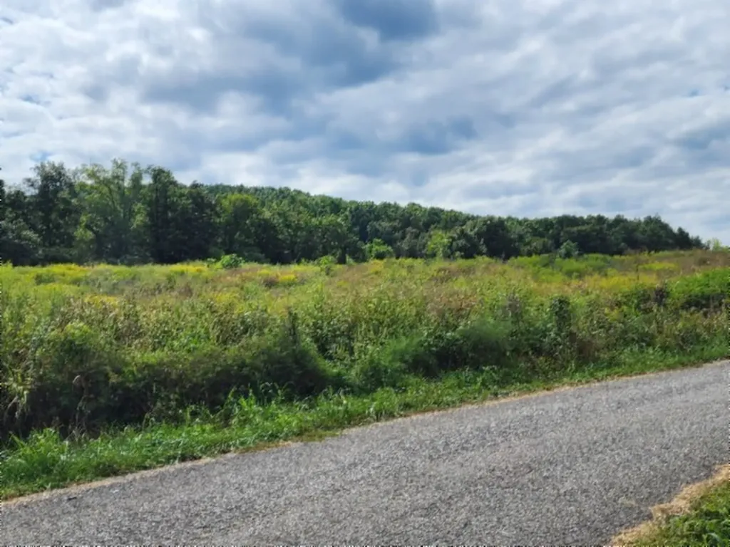 3.94ac Anderson Road Byrdstown TN 38549