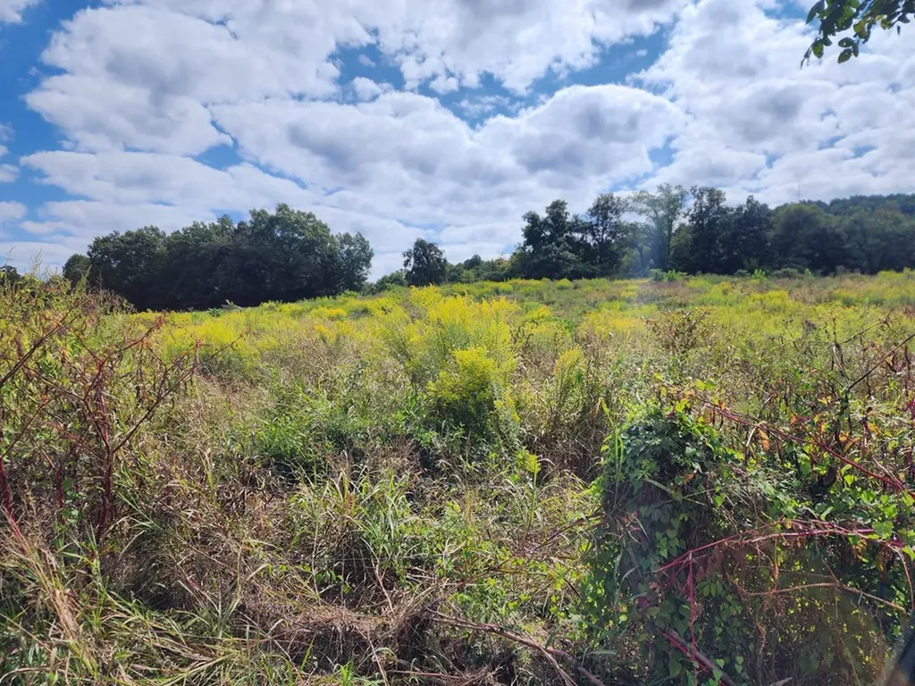 3.94ac Anderson Road Byrdstown TN 38549