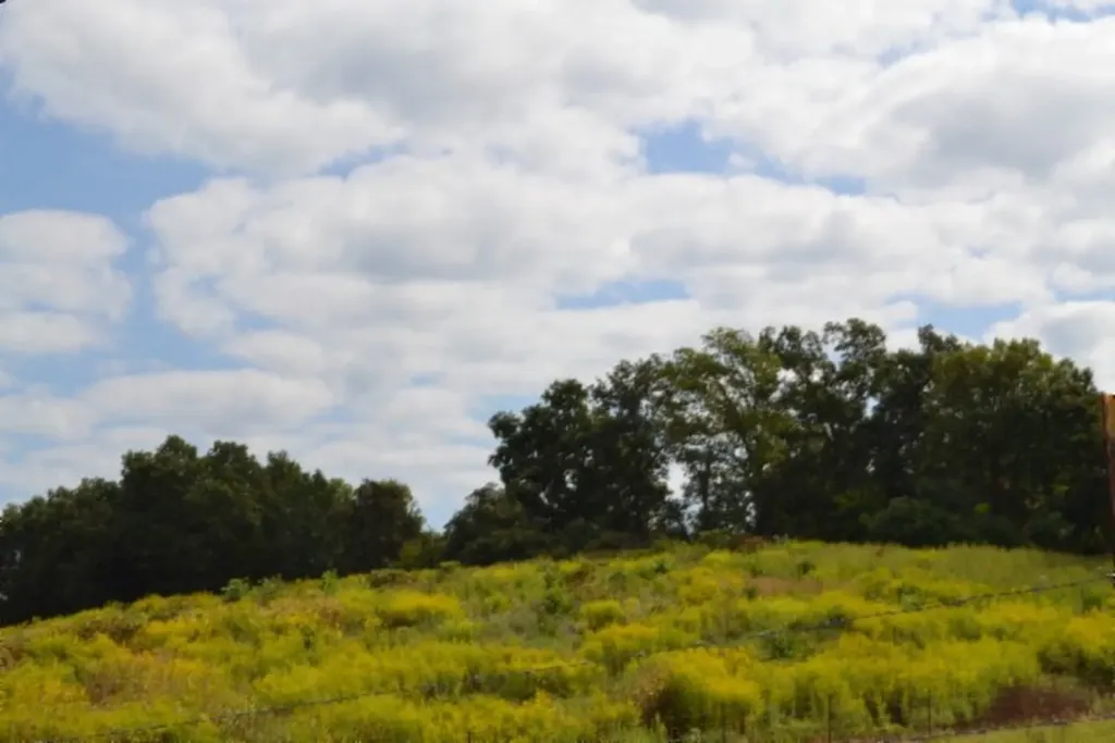 3.94ac Anderson Road Byrdstown TN 38549