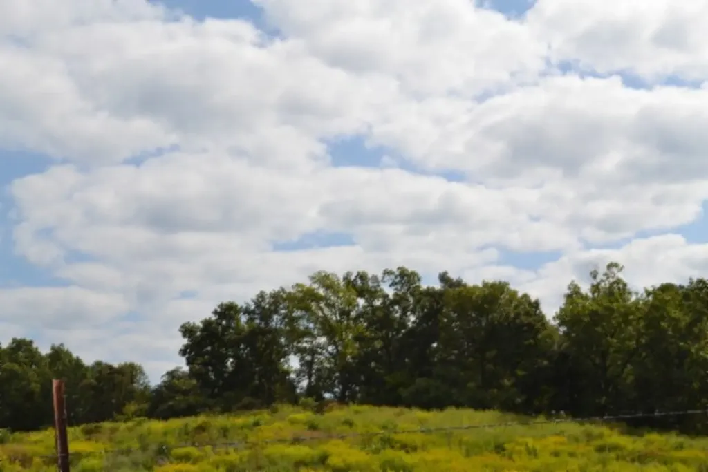 3.94ac Anderson Road Byrdstown TN 38549