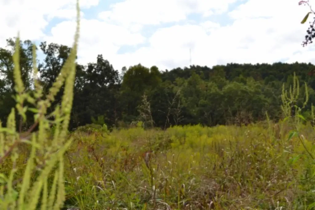 3.94ac Anderson Road Byrdstown TN 38549