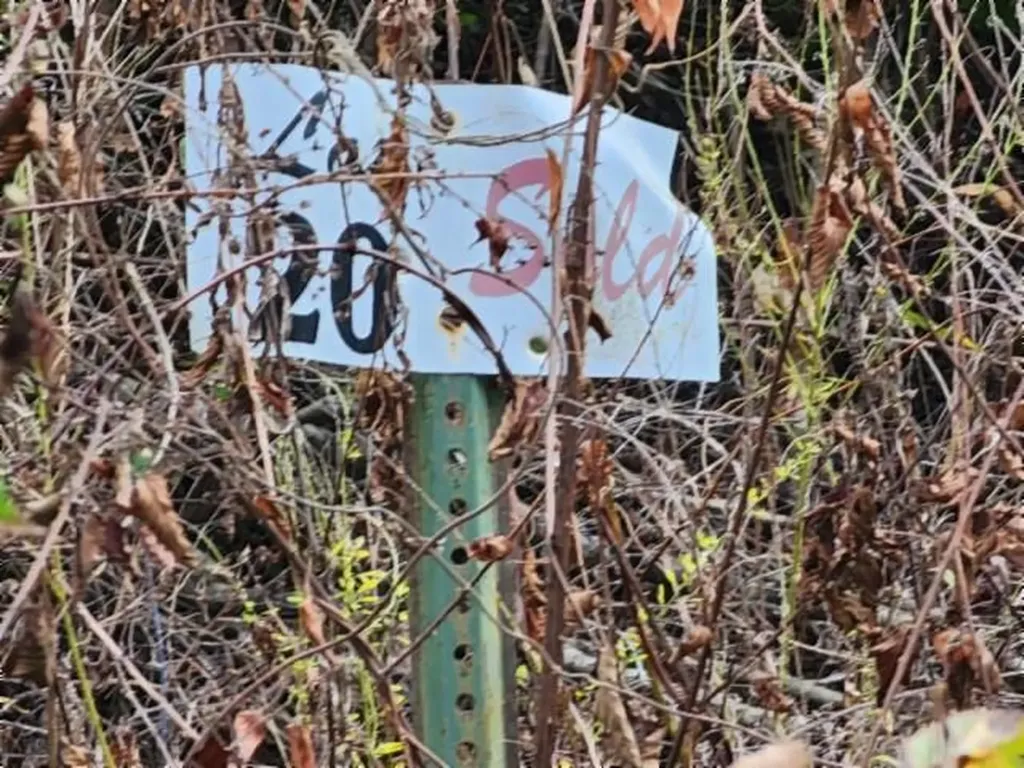 Lot 20 Apache Road Jamestown TN 38556