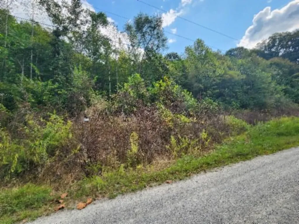 Lot 20 Apache Road Jamestown TN 38556