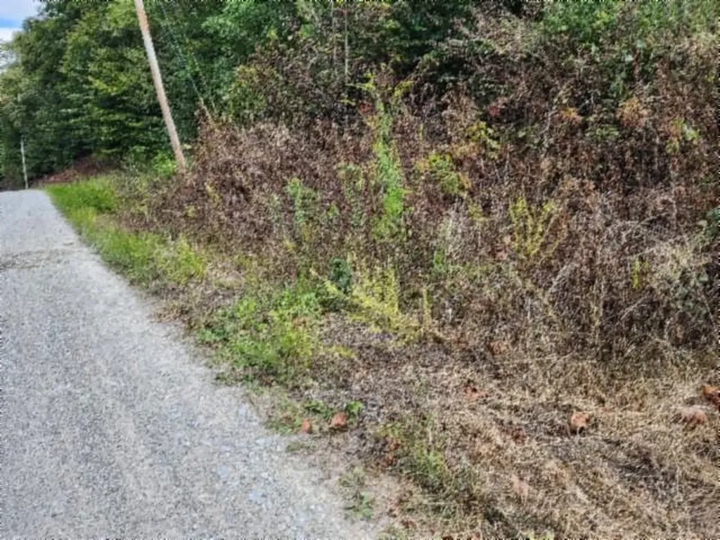 Lot 20 Apache Road Jamestown TN 38556
