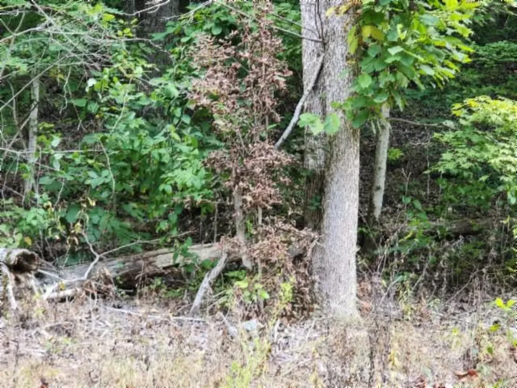 Lot 20 Apache Road Jamestown TN 38556