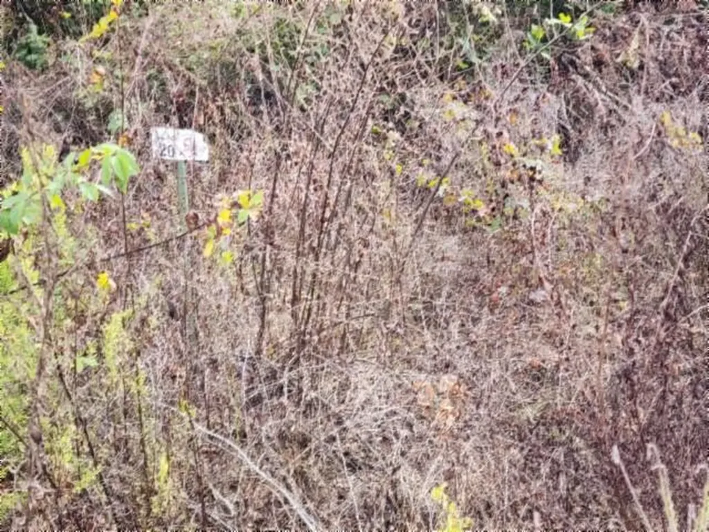 Lot 20 Apache Road Jamestown TN 38556