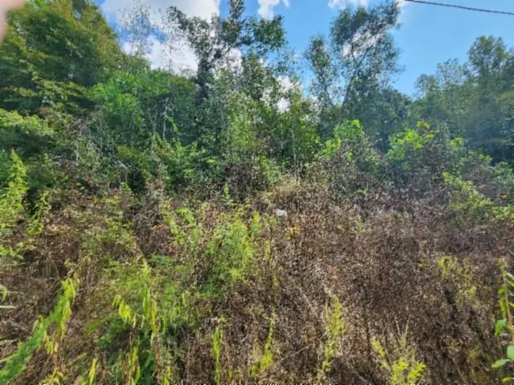 Lot 20 Apache Road Jamestown TN 38556