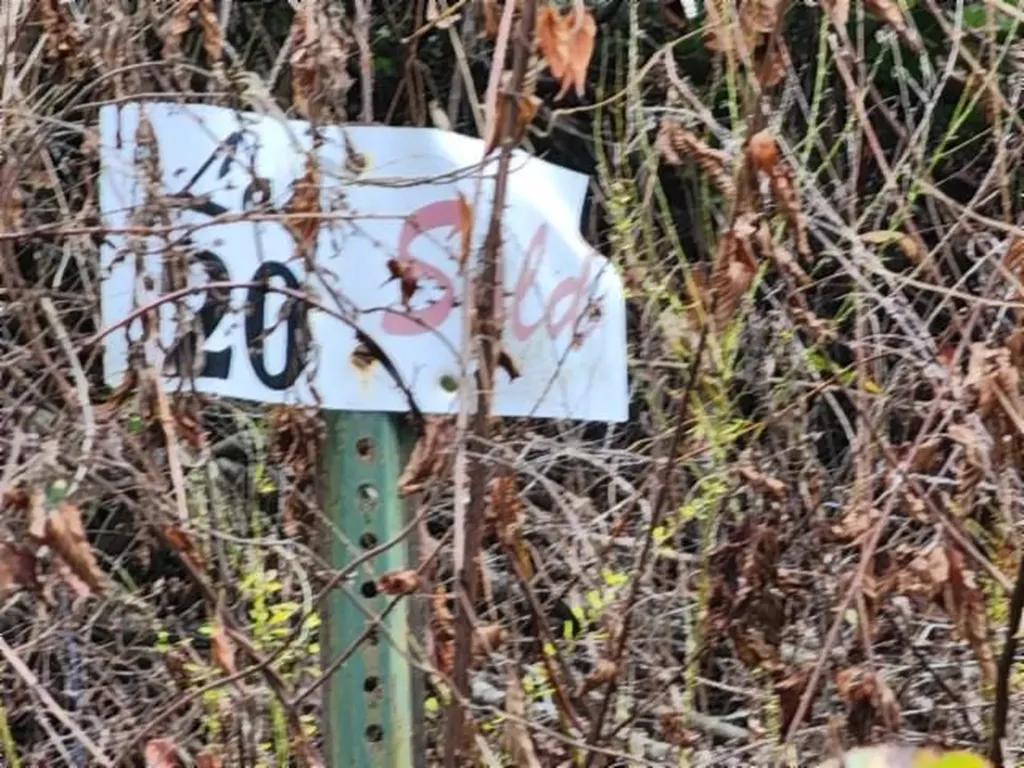 Lot 20 Apache Road Jamestown TN 38556