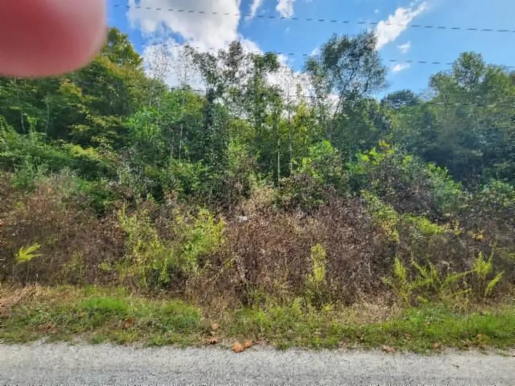 Lot 20 Apache Road Jamestown TN 38556