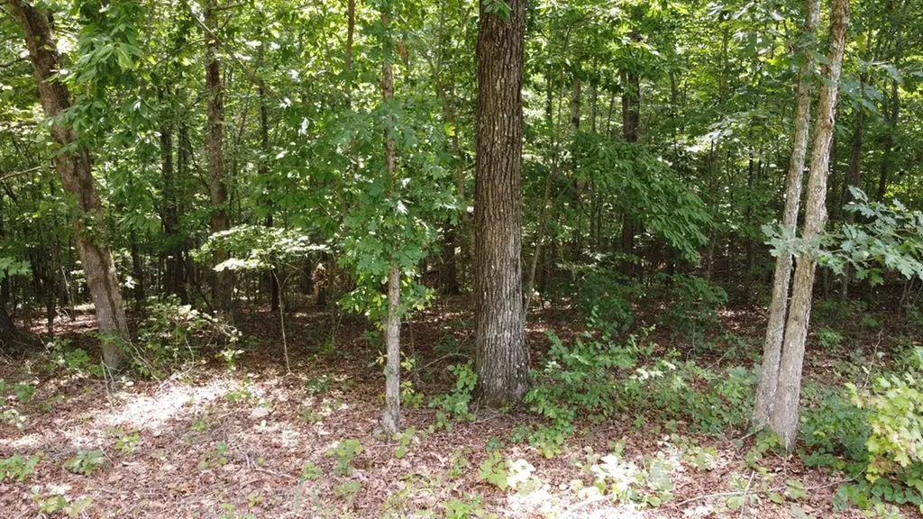 122 Camp Creek Drive Spencer TN 38585