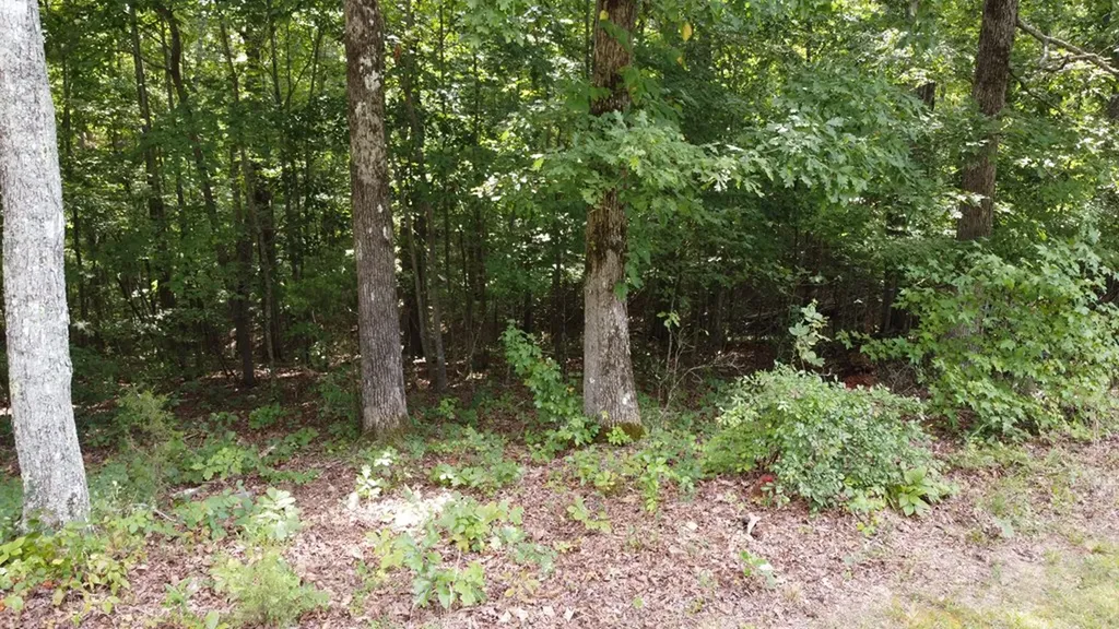 122 Camp Creek Drive Spencer TN 38585